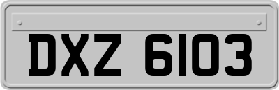 DXZ6103
