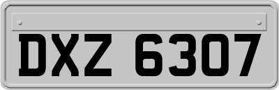 DXZ6307