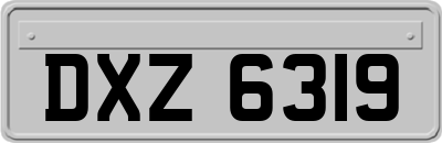 DXZ6319