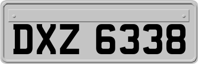 DXZ6338