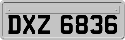 DXZ6836