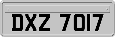 DXZ7017