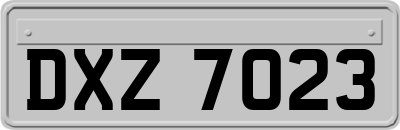 DXZ7023