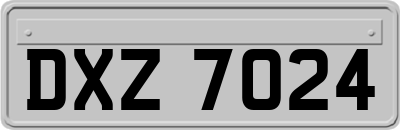 DXZ7024