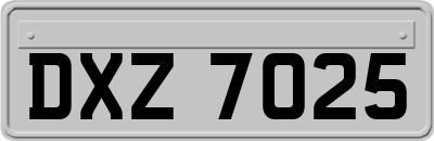 DXZ7025