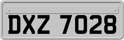 DXZ7028