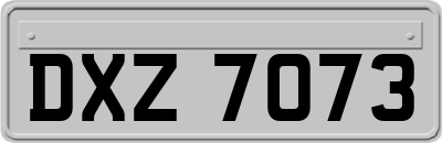 DXZ7073