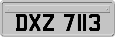DXZ7113