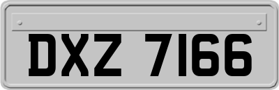 DXZ7166