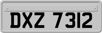 DXZ7312
