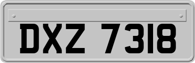DXZ7318