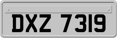 DXZ7319