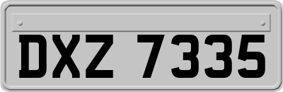 DXZ7335