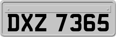 DXZ7365