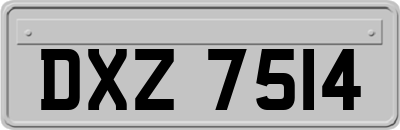 DXZ7514