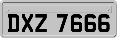 DXZ7666