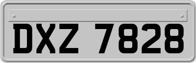 DXZ7828