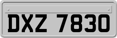DXZ7830
