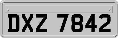 DXZ7842