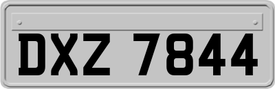DXZ7844