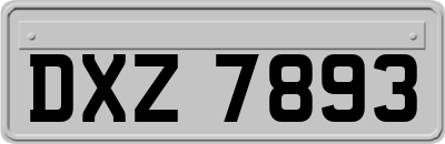 DXZ7893