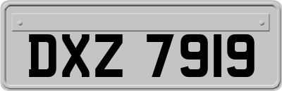 DXZ7919