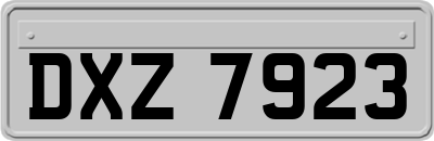 DXZ7923