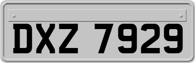 DXZ7929