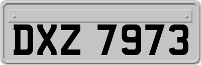 DXZ7973