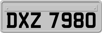 DXZ7980