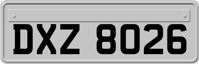DXZ8026