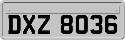 DXZ8036