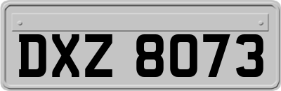 DXZ8073