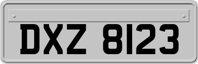 DXZ8123