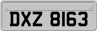 DXZ8163