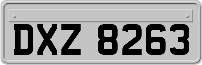 DXZ8263