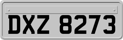 DXZ8273