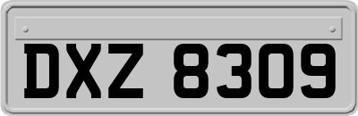 DXZ8309