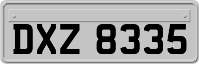 DXZ8335