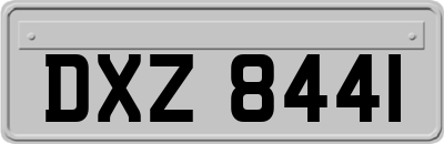 DXZ8441