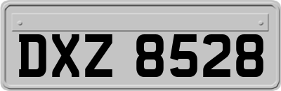 DXZ8528