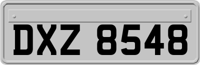 DXZ8548