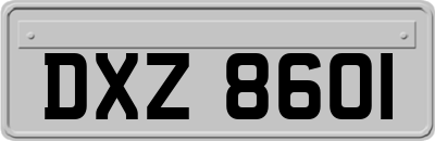 DXZ8601