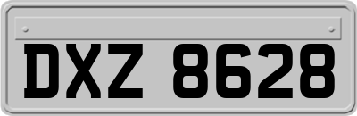 DXZ8628