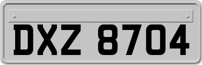 DXZ8704