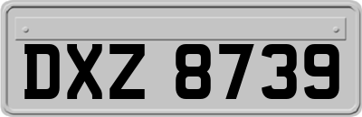 DXZ8739