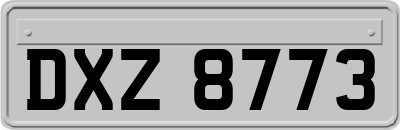 DXZ8773
