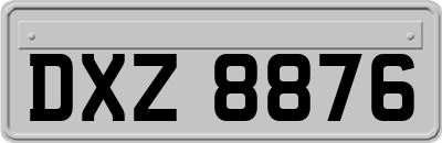 DXZ8876