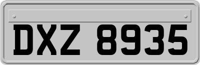 DXZ8935