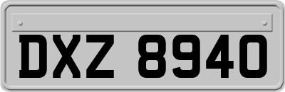 DXZ8940
